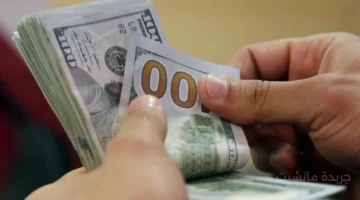 تطور جديد.. سعر الدولار اليوم الأحد يخالف التوقعات تحديث التعاملات المسائية 1